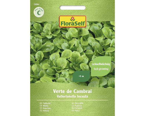 Mâche Verte de Cambrai FloraSelf graines fixées graines de salade