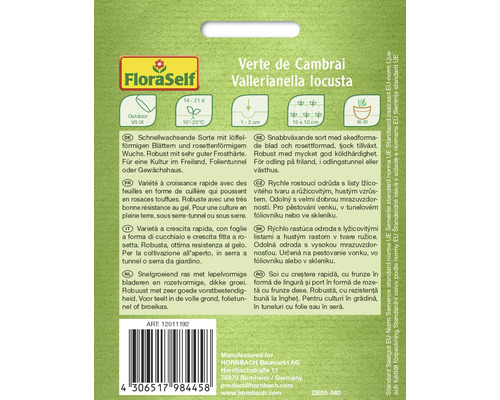 Semences de mâche Verte de Cambrai de FloraSelf