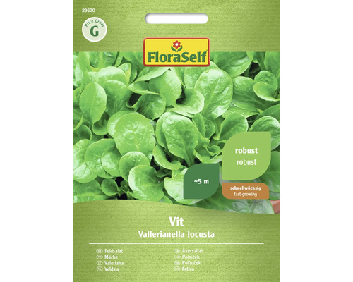 Mâche Vit FloraSelf graines fixées graines de salade