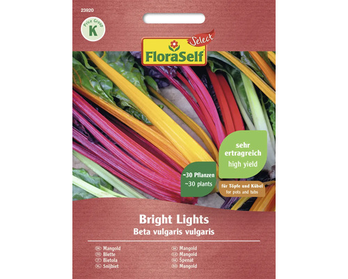 Blette Bright Lights FloraSelf Select graines fixées graines de légumes