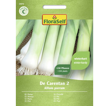 Poireaux De Carentan 2 FloraSelf semences non-hybrides graines de légumes