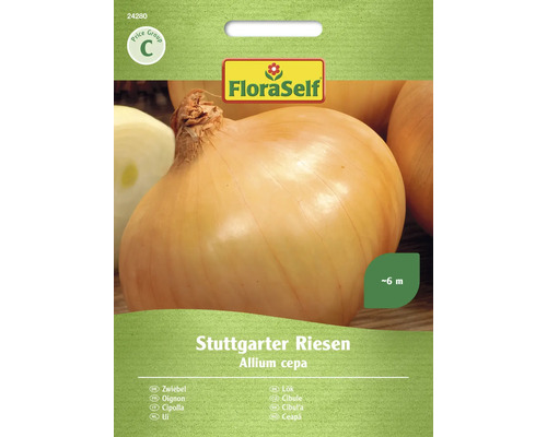 Oignon Stuttgarter Riesen FloraSelf semences non-hybrides graines de légumes Semences d''oignon géant de Stuttgart FloraSelf