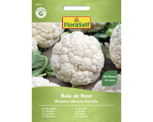 Blumenkohl Bola de Neve FloraSelf samenfestes Saatgut Gemüsesamen