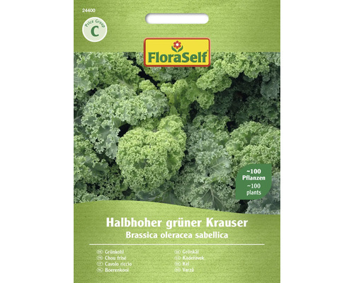 Grünkohl Halbhoher grüner Krauser FloraSelf samenfestes Saatgut Gemüsesamen