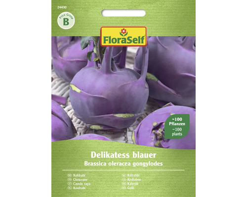 Chou-rave Delikatess blauer FloraSelf semences non-hybrides graines de légumes Graines de chou-rave bleu délicatesse FloraSelf
