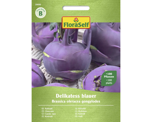 Kohlrabi Delikatess blauer FloraSelf samenfestes Saatgut Gemüsesamen