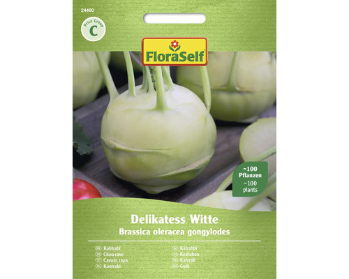 Chou-rave Delikatess Witte FloraSelf semences non-hybrides graines de légumes Graines de chou-rave FloraSelf Delikatess Witte