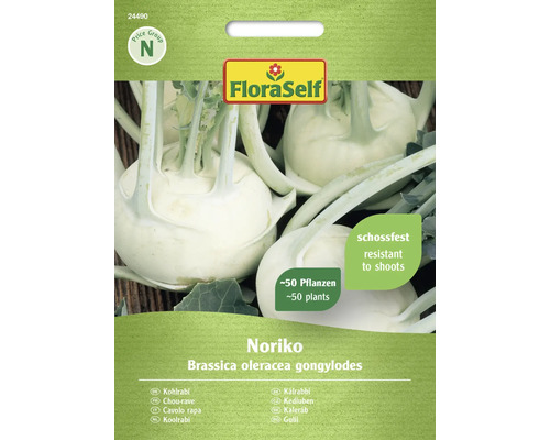Chou-rave Noriko FloraSelf semences non-hybrides graines de légumes