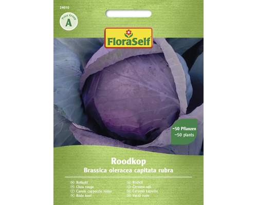 Rotkohl Roodkop FloraSelf Samenfestes Saatgut Gemüsesamen