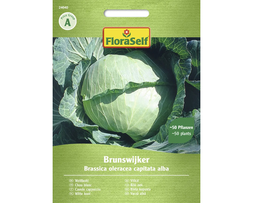 Chou blanc 'Brunswijker' FloraSelf semences non-hybrides semences de légumes Sachet de graines de chou blanc Brunswijker de FloraSelf