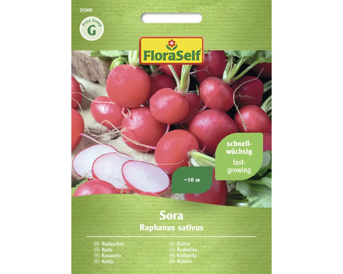 Radis Sora FloraSelf graines fixées graines de légumes