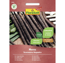 Salsifis noirs Meres FloraSelf Select semences non-hybrides graines de légumes