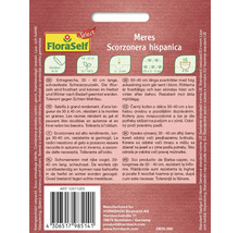 Salsifis noirs Meres FloraSelf Select semences non-hybrides graines de légumes
