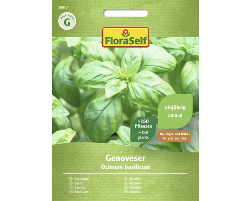 Basilic Genovese FloraSelf semences non hybrides graines de fines herbes