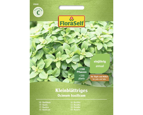 Basilic à petites feuilles FloraSelf semences non hybrides graines de fines herbes Sachet de graines de basilic à petites feuilles