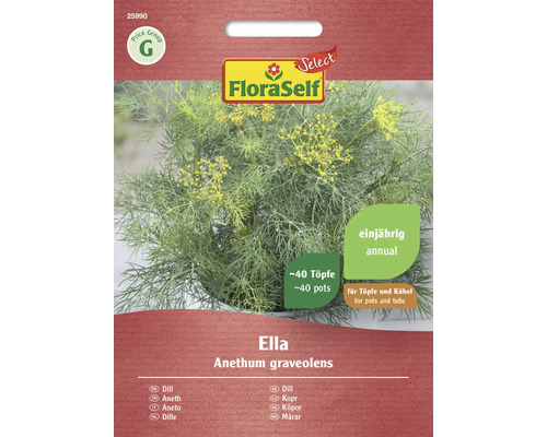 Aneth Ella FloraSelf Select semences non-hybrides graines de fines herbes