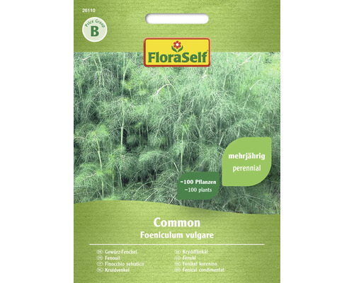 Fenouil épicé Common FloraSelf semences non-hybrides graines de fines herbes Graines de fenouil commun FloraSelf pour environ 100 plantes, vivace
