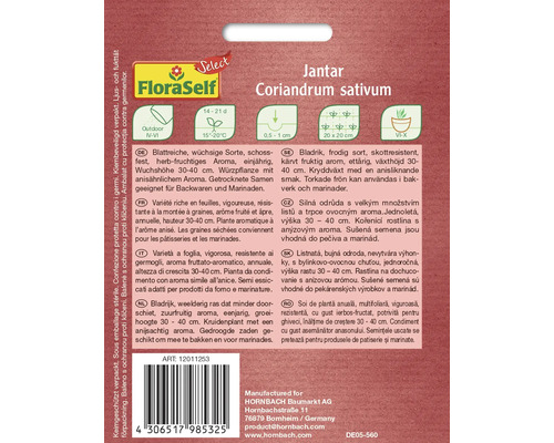 Paquet de graines de coriandre Jantar pour la culture en extérieur