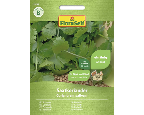 Koriander FloraSelf Kräutersamen