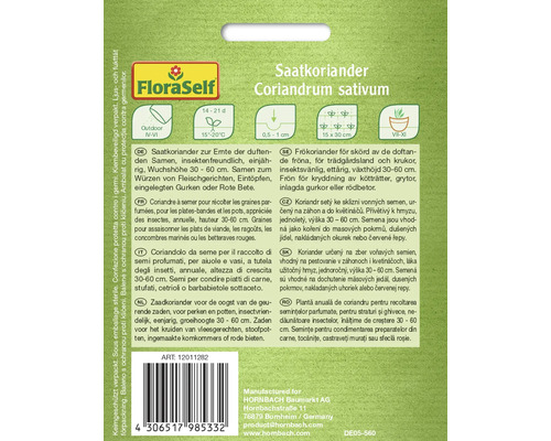 Paquet de graines de coriandre