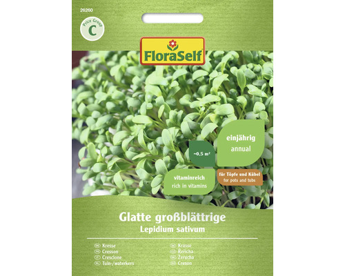 Cresson lisse à grandes feuilles FloraSelf Semences résistantes graines d'herbes Paquet de graines de cresson alénois à larges feuilles de FloraSelf