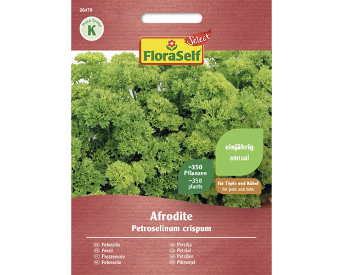 Persil Afrodite FloraSelf Select semences non-hybrides graines de fines herbes Graines de persil FloraSelf Afrodite pour environ 350 plants