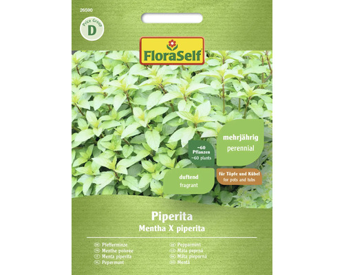 Menthe poivrée Piperita FloraSelf semences non-hybrides graines de fines herbes FloraSelf Menthe poivrée, vivace, pour pots et bacs, environ 60 plantes