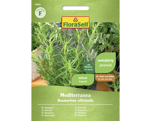 Romarin Mediterranea FloraSelf semences non-hybrides graines de fines herbes Graines de romarin FloraSelf pour environ 50 plantes