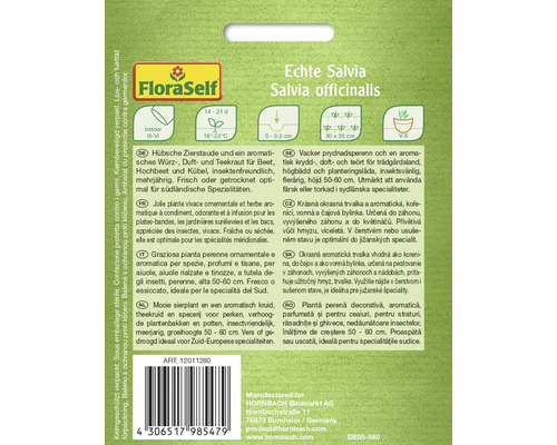 Sachet de graines de sauge authentique de FloraSelf