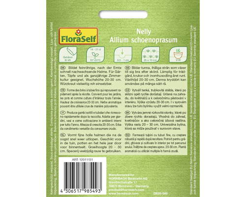 Sachet de graines Ciboulette Nelly Allium schoenoprasum