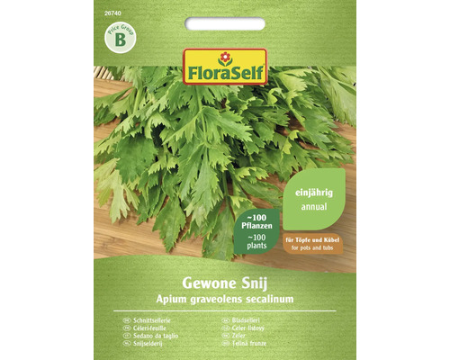 Céleri coupé Gewone Snij FloraSelf semences non-hybrides graines de fines herbes Sachet de graines de céleri à couper de FloraSelf
