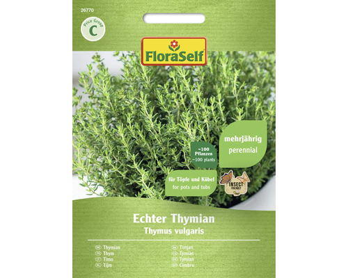 Thym FloraSelf graines fixées graines de fines herbes