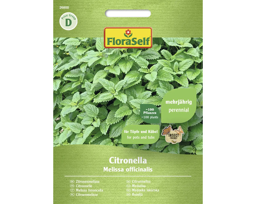 Citronelle Citronella FloraSelf semences non-hybrides graines de fines herbes FloraSelf Citronnelle Sachet de graines d''herbes aromatiques respectueuses des abeilles pour pots et bacs