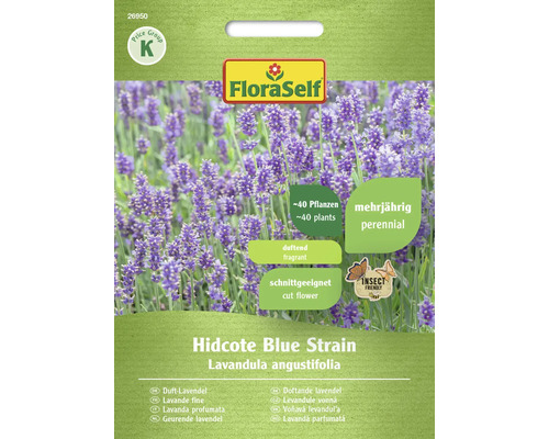 Duft Lavendel Hidcote Blue Strain FloraSelf samenfestes Saatgut Blumensamen FloraSelf Lavendel Hidcote Blue Strain Samenpackung