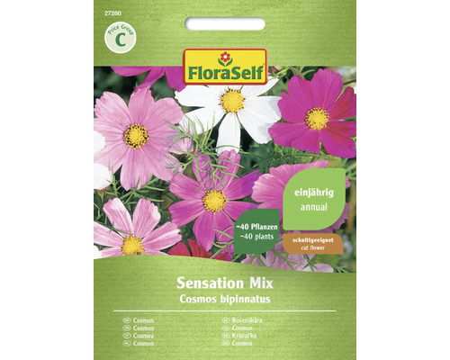 Schmuckkörbchen FloraSelf Samenfestes Saatgut Blumensamen Sensation Mischung FloraSelf Sensation Mix Cosmos bipinnatus Blumensamenpackung, einjährig, für circa 40 Pflanzen, geeignet als Schnittblume