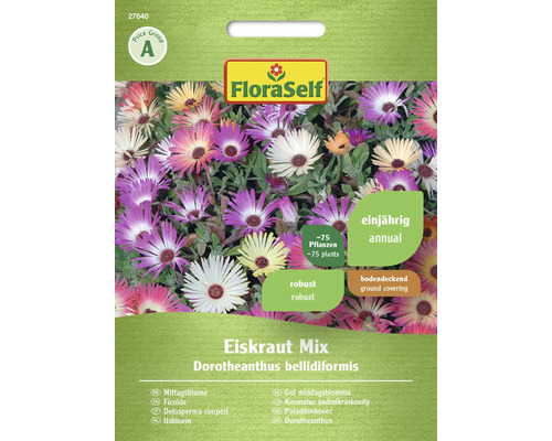 Mittagsblume FloraSelf Samenfestes Saatgut Blumensamen Eiskraut Mischung