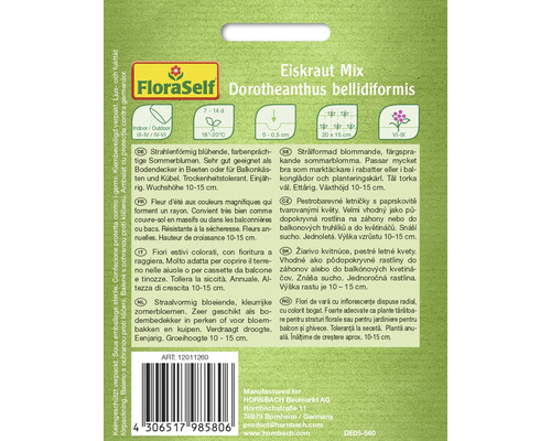 Verpackung Eisblumenmischung Dorotheanthus bellidiformis