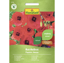 FloraSelf Klatschmohn Samen für einjährige, rot-hellrote Blumen