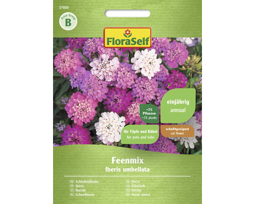 Schleifenblume Feenmischung FloraSelf Samenfestes Saatgut Blumensamen