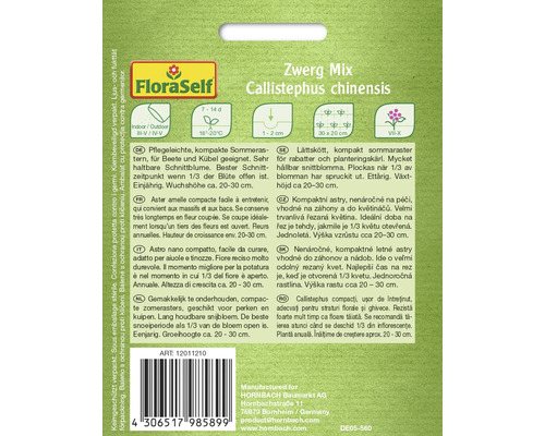 Zwerg Mix Callistephus chinensis Sommerasternsamen für Beete und Kübel