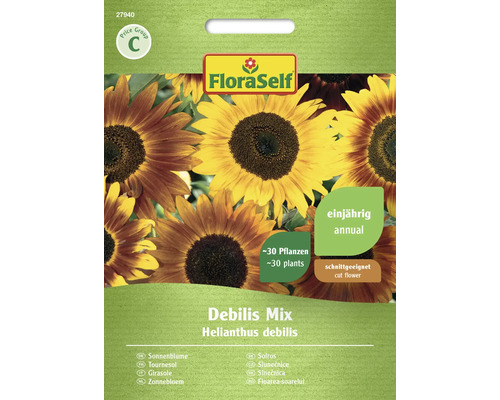 Tournesol Debilis mélange FloraSelf semences non-hybrides graines de fleurs Sachet de graines de tournesol avec l''inscription Debilis Mix Helianthus debilis