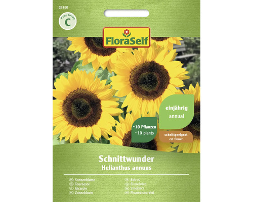 Sonnenblume Schnittwunder FloraSelf Samenfestes Saatgut Blumensamen