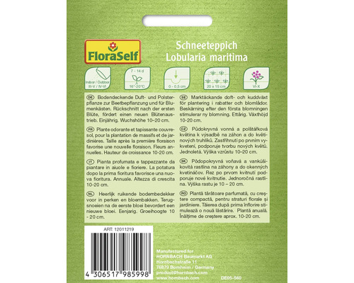 Emballage Alysse maritime Lobularia maritima
