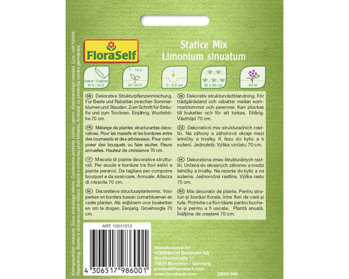 FloraSelf Statice Mix Limonium sinuatum Samenpackung für dekorative Strukturpflanzen