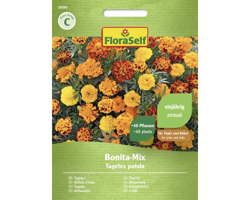 Oeillets d'Inde mélange Bonita FloraSelf semences non-hybrides graines de fleurs Graines de tagètes Bonita-Mix FloraSelf, plantes annuelles pour pots et bacs