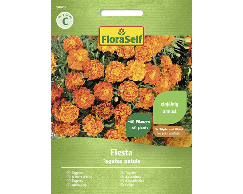 Tagetes Fiesta FloraSelf Samenfestes Saatgut Blumensamen