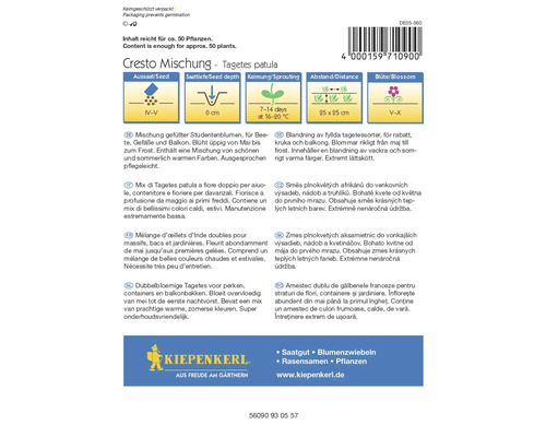 Paquet de graines de fleurs Tagetes Patula avec instructions de plantation