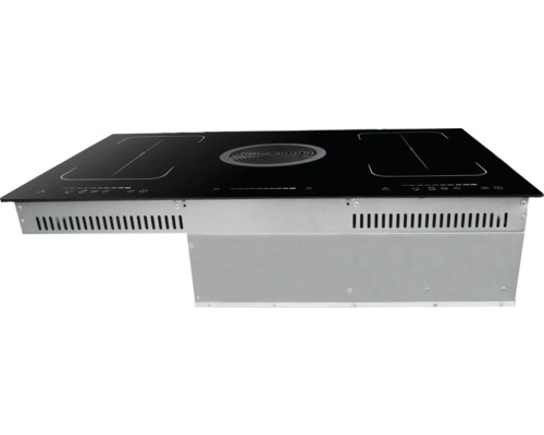 Plaque à induction avec hotte intégrée