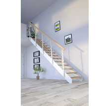 Escalier avec rampe en métal et marches en bois dans une pièce lumineuse.