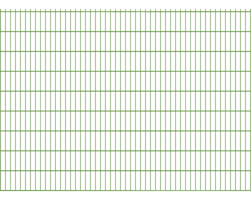 Doppelstabmatte 6/5/6 251 x 183 cm RAL 6005 moosgrün